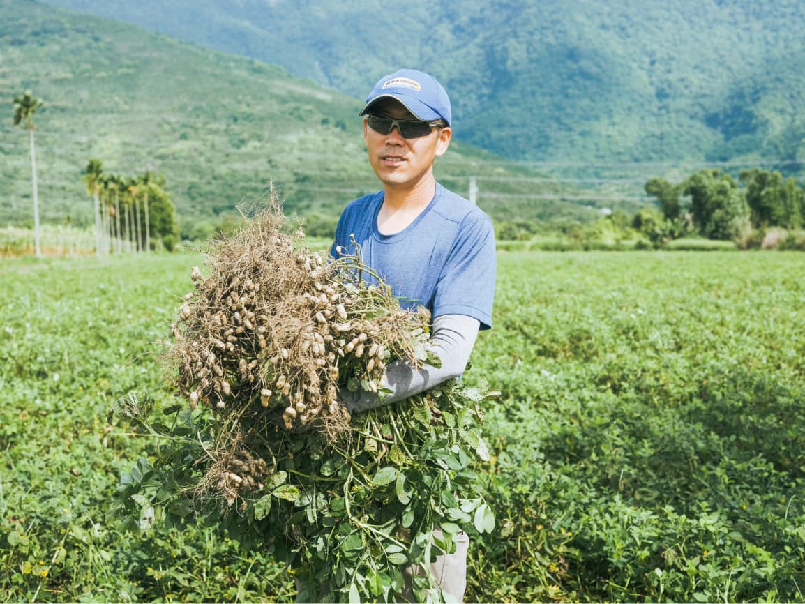 美好花生-鍾順龍 美好花生-鍾順龍