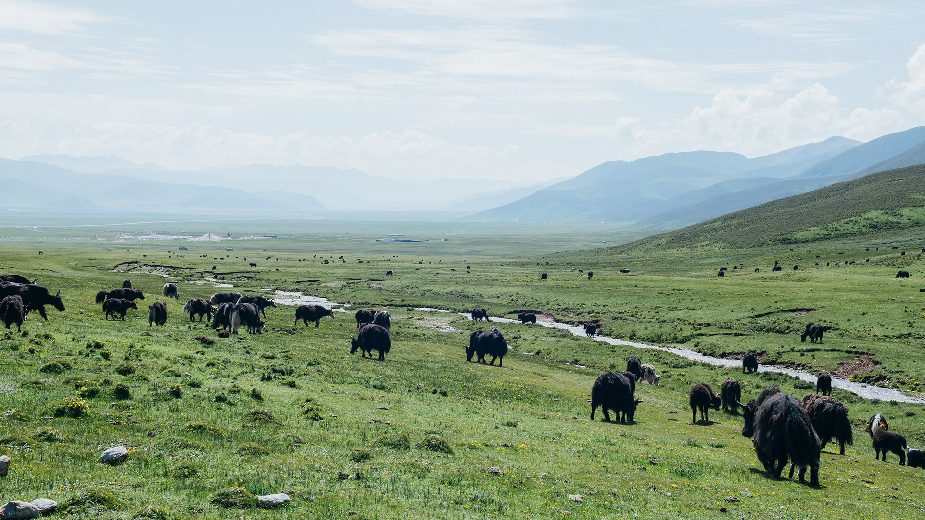 牧歌淺唱-在地6天