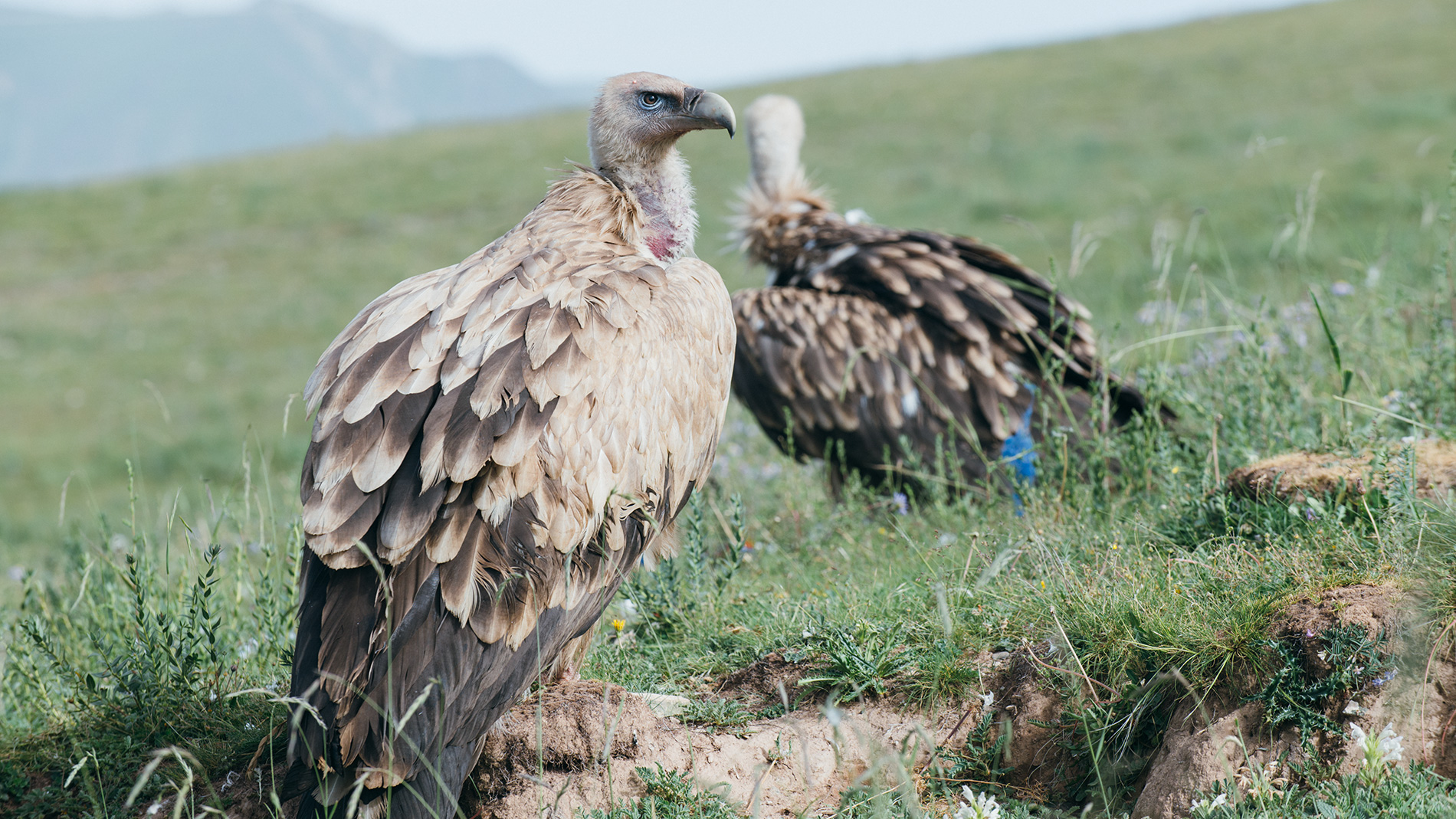 牧歌淺唱-在地6天