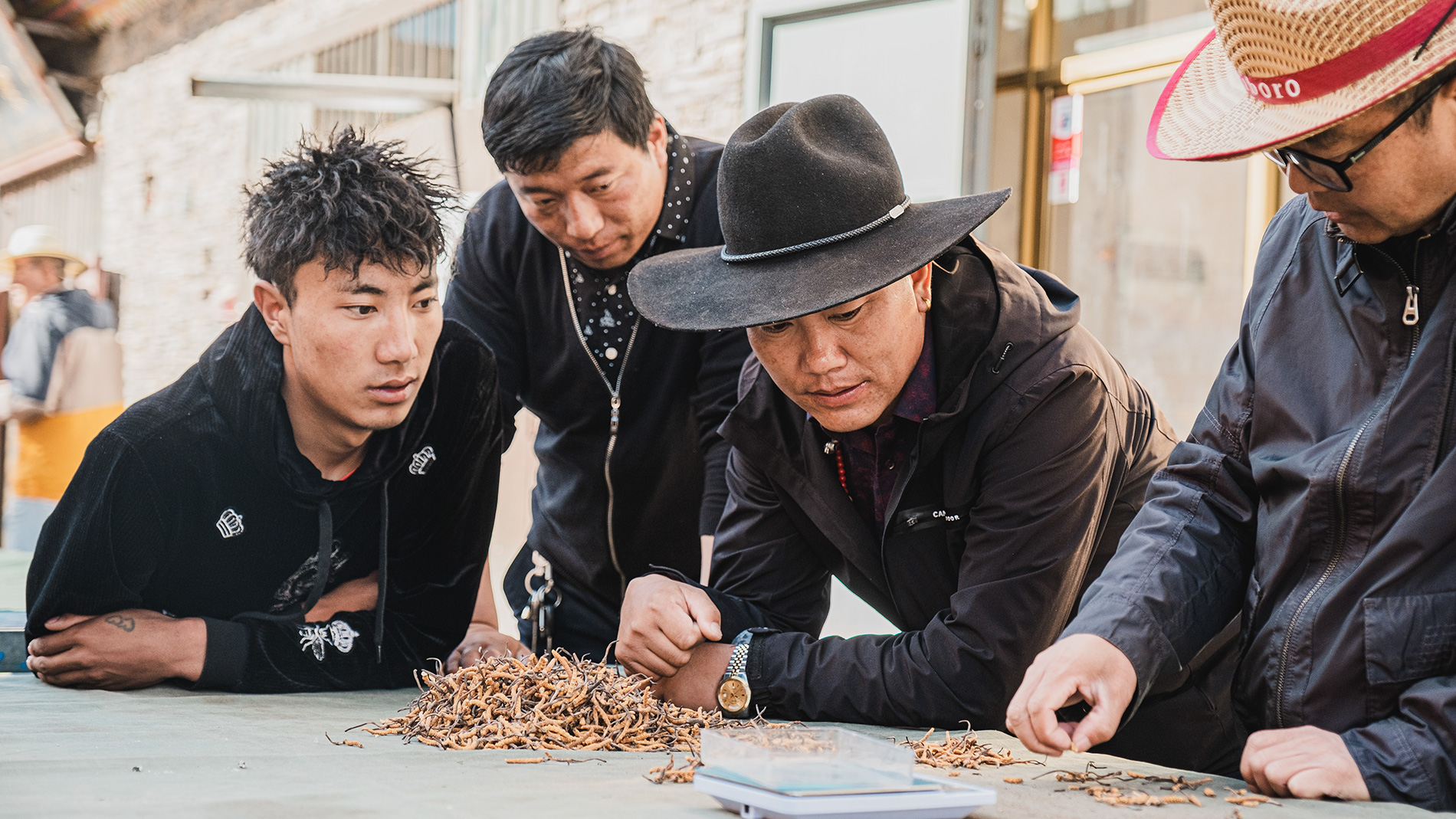 藏牧深情-在地11天