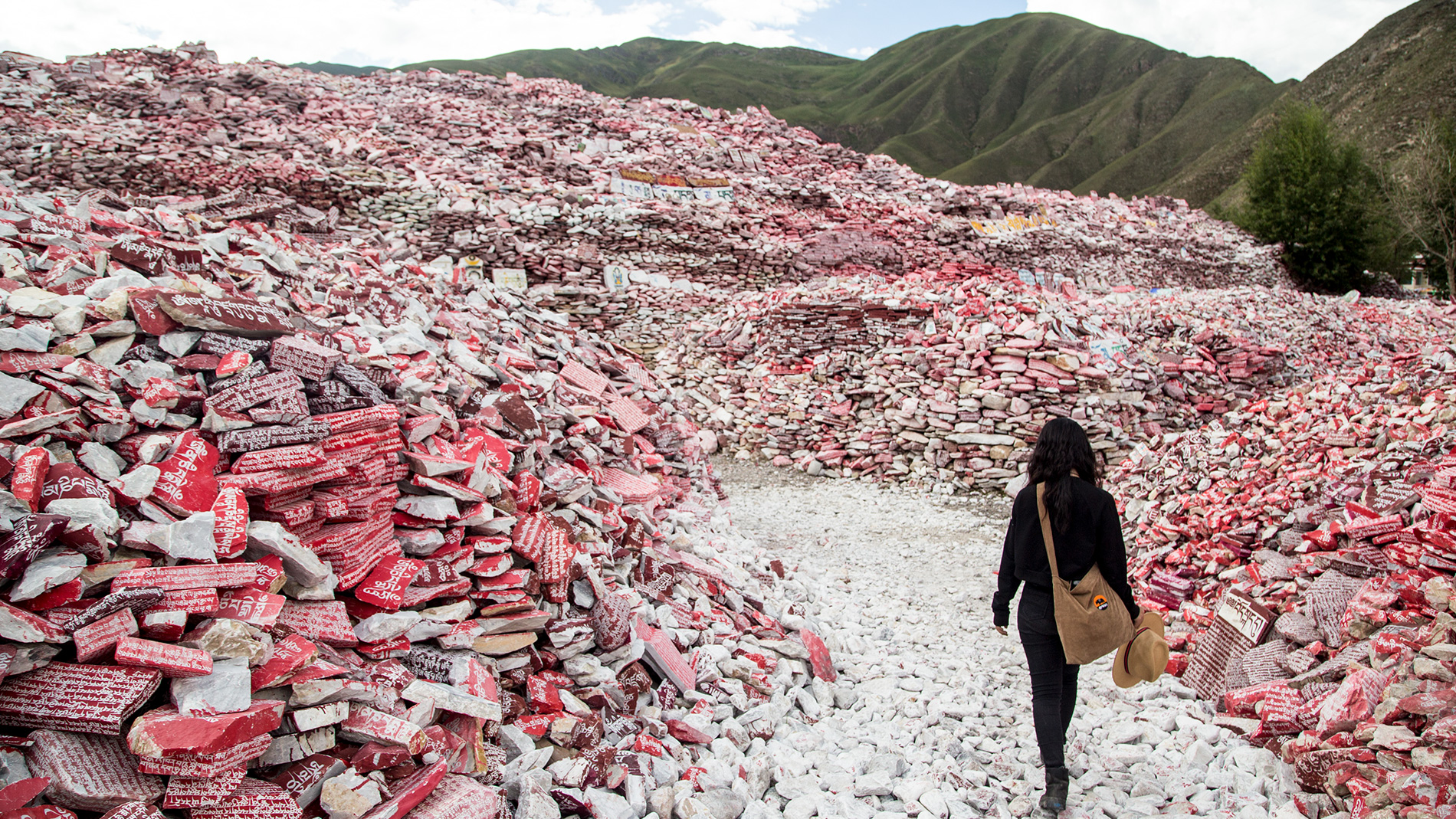 藏牧深情-在地11天