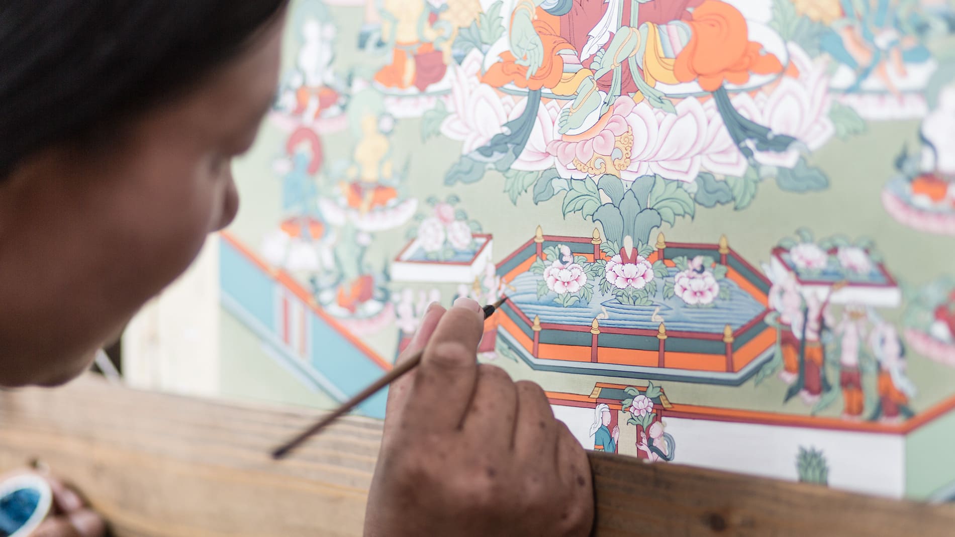 藏原野奢-在地7天