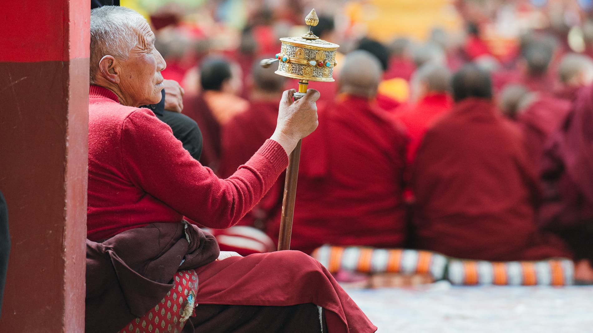藏原野奢-在地7天