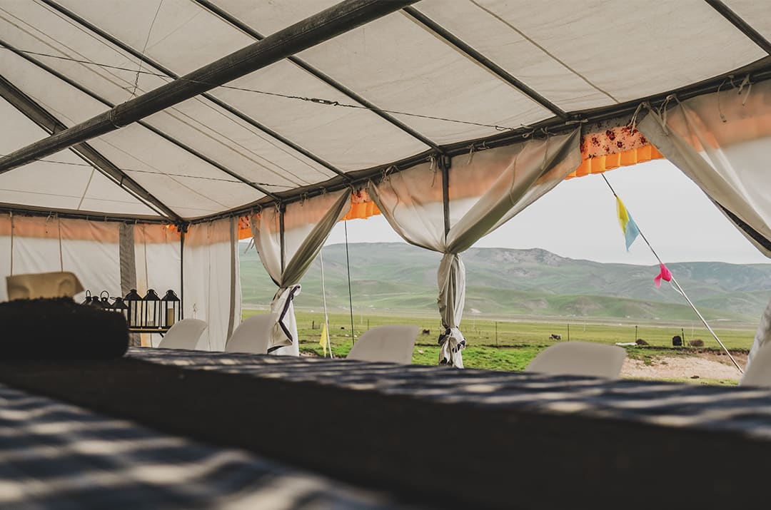 獨享原產新鮮冬蟲夏草湯品