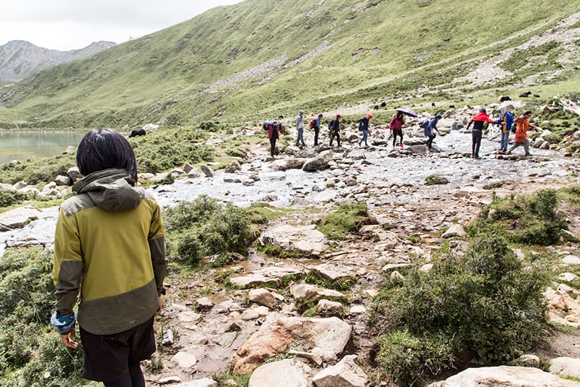 藏原野奢-在地7天 健康更安心