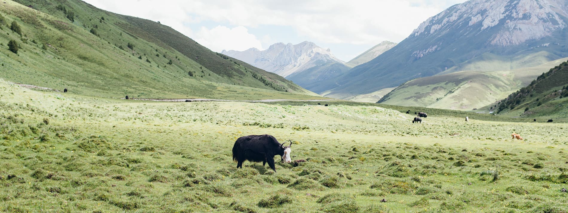 藏原野奢-在地7天