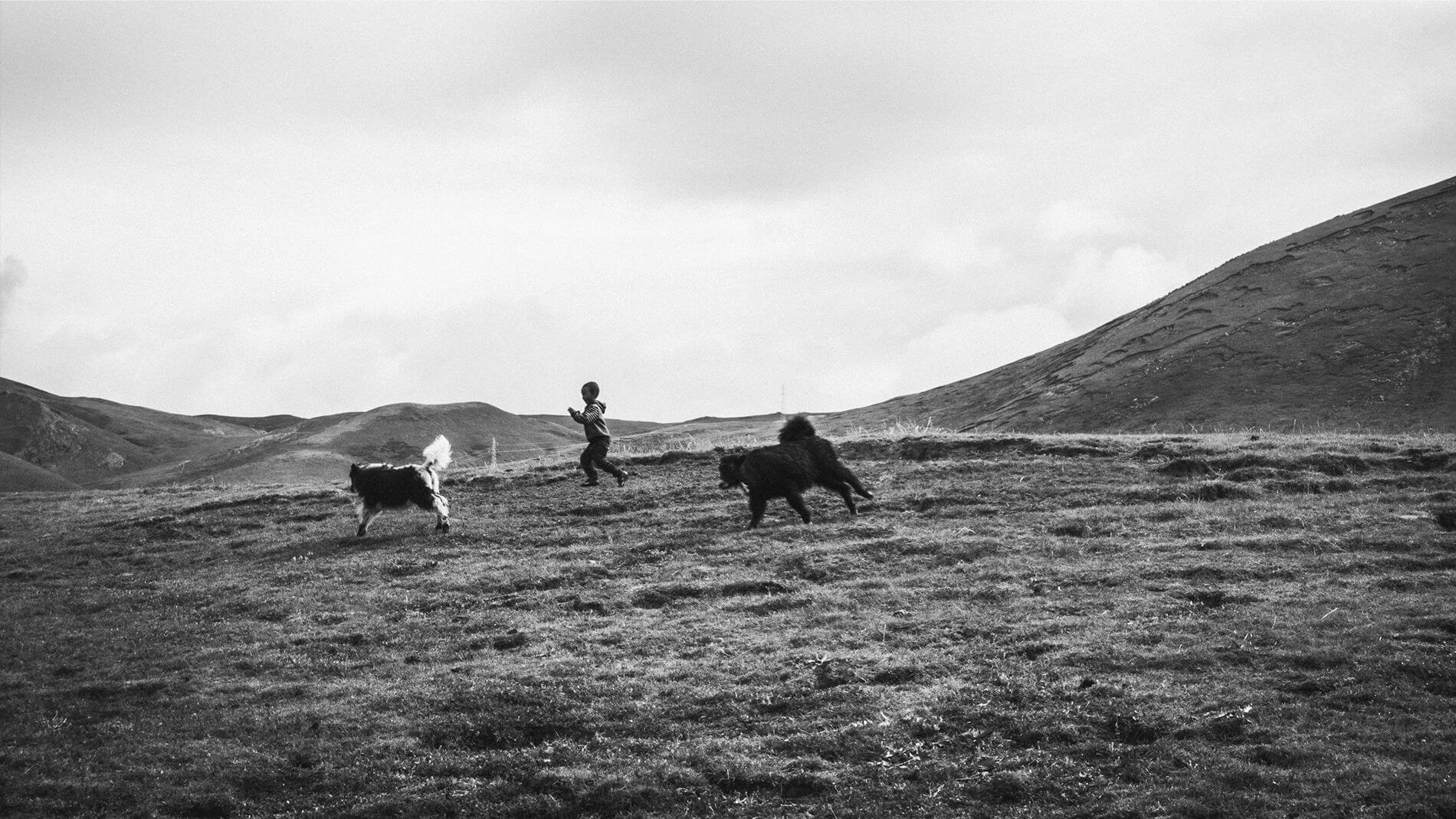 牧歌淺唱-在地6天 藏牧深情-在地11天