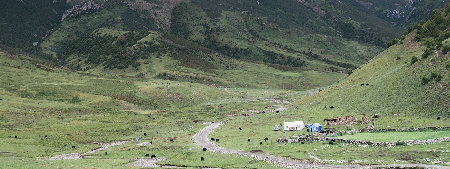 藏牧深情-在地11天