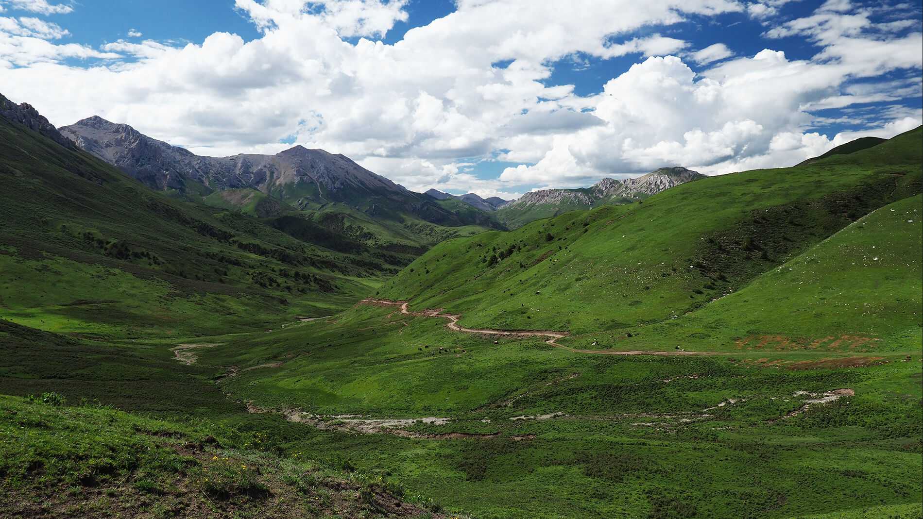 青藏旅拍｜文化私塾