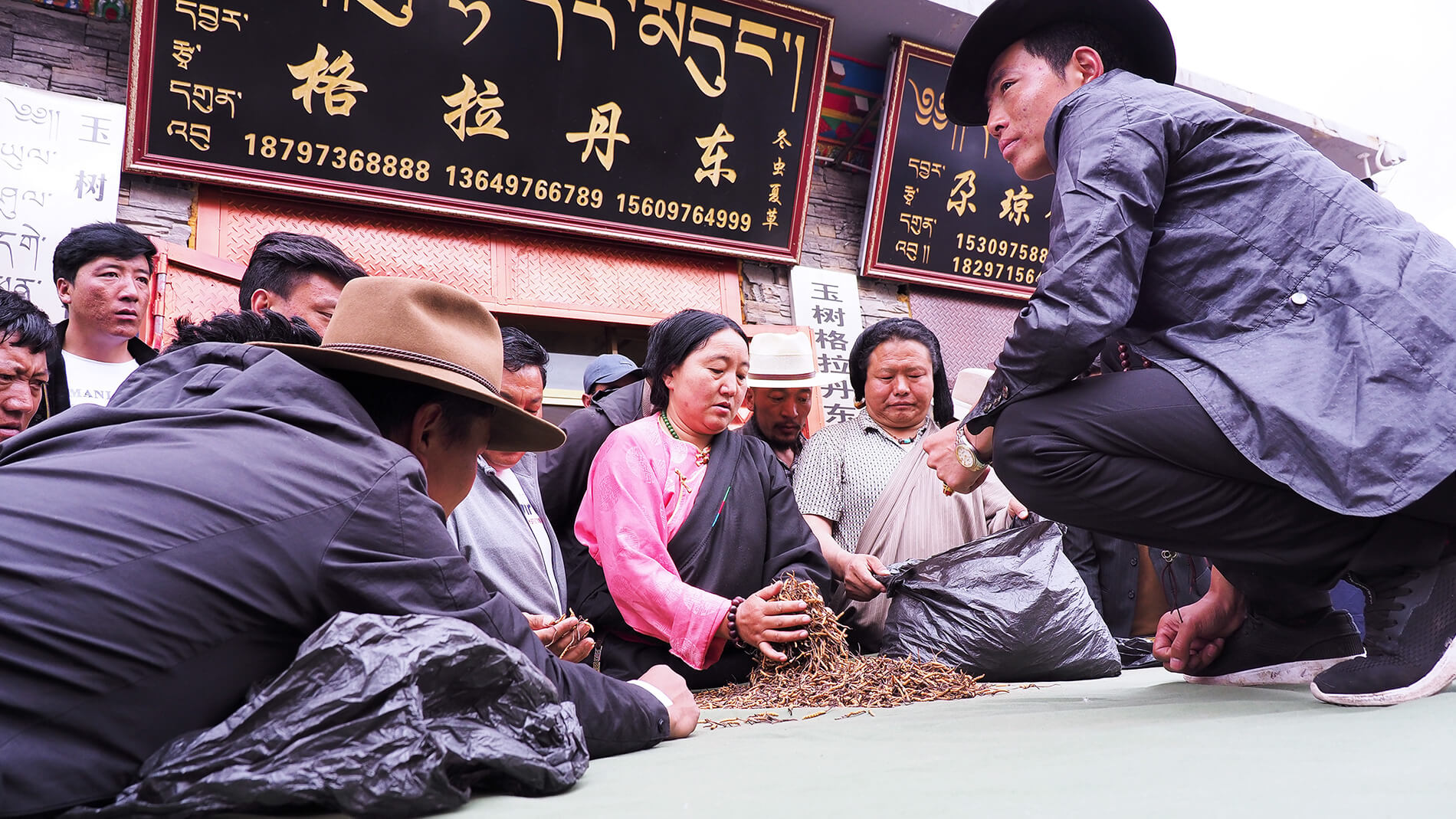 青藏旅拍｜文化私塾