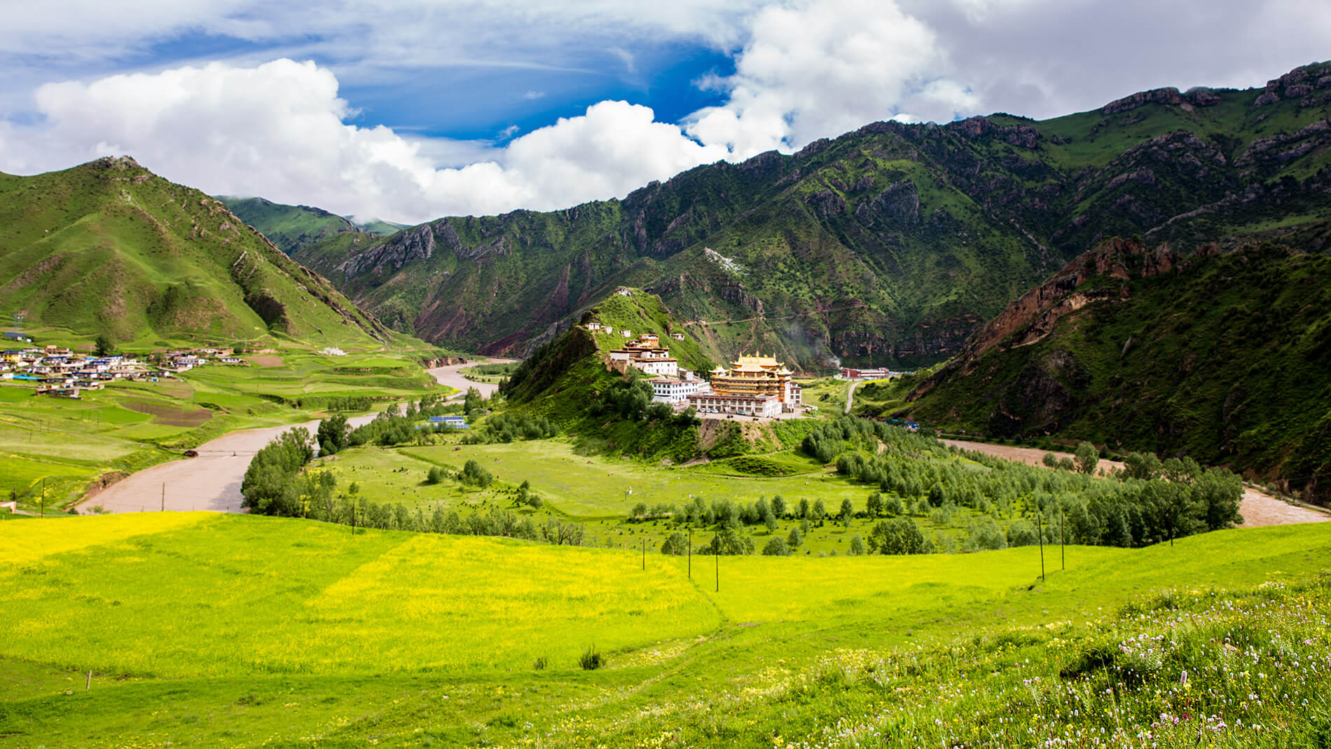 青藏旅拍｜文化私塾