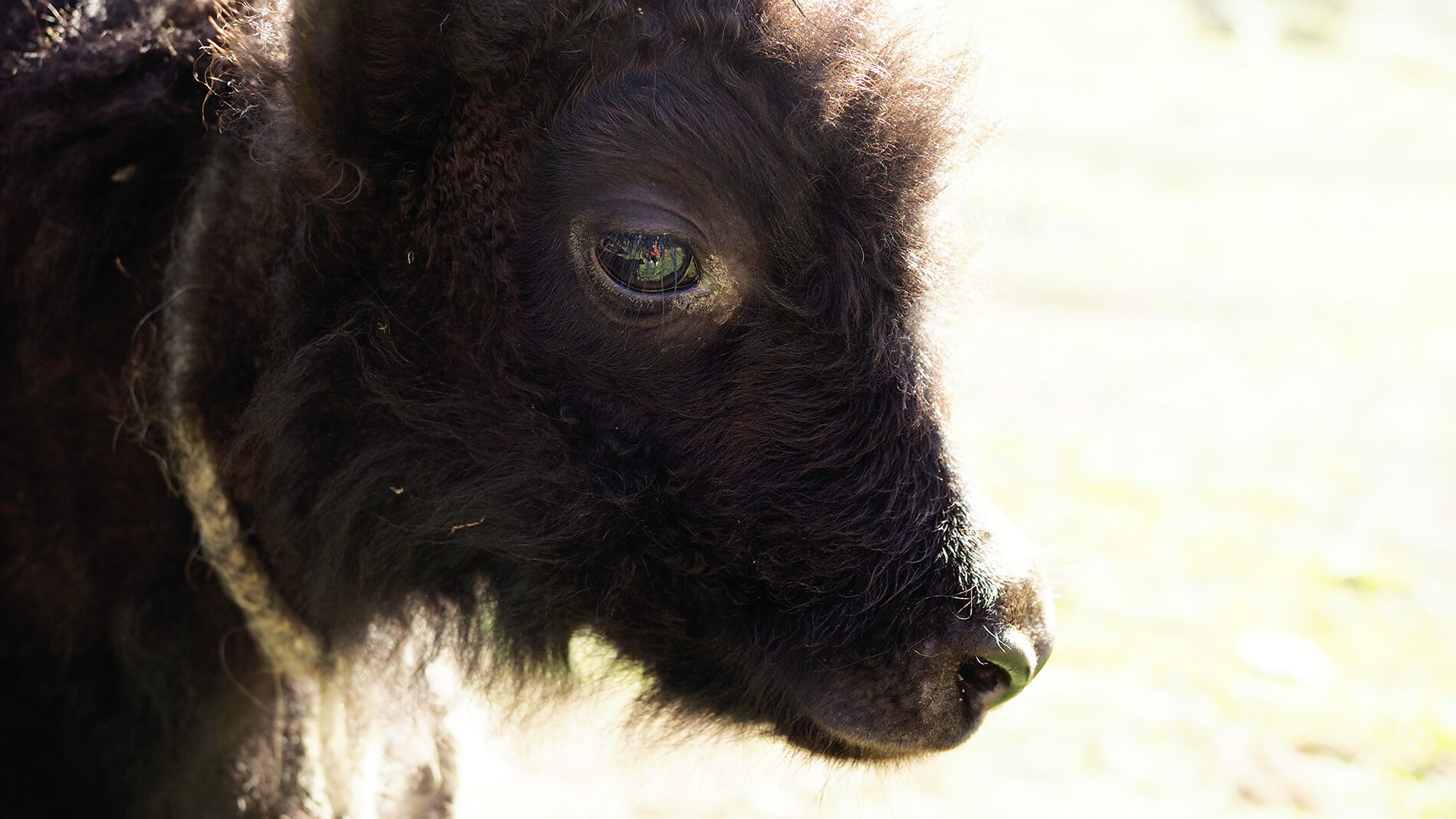 青藏旅拍｜文化私塾