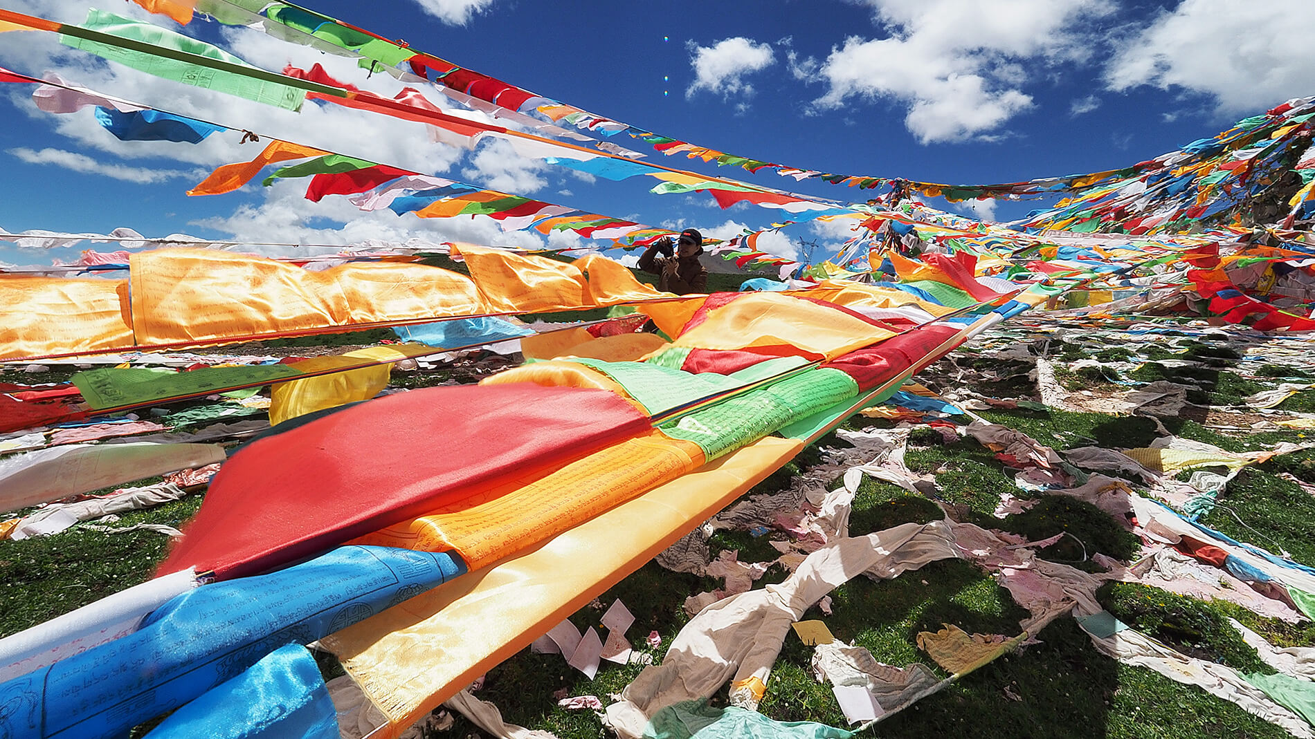 青藏旅拍｜文化私塾