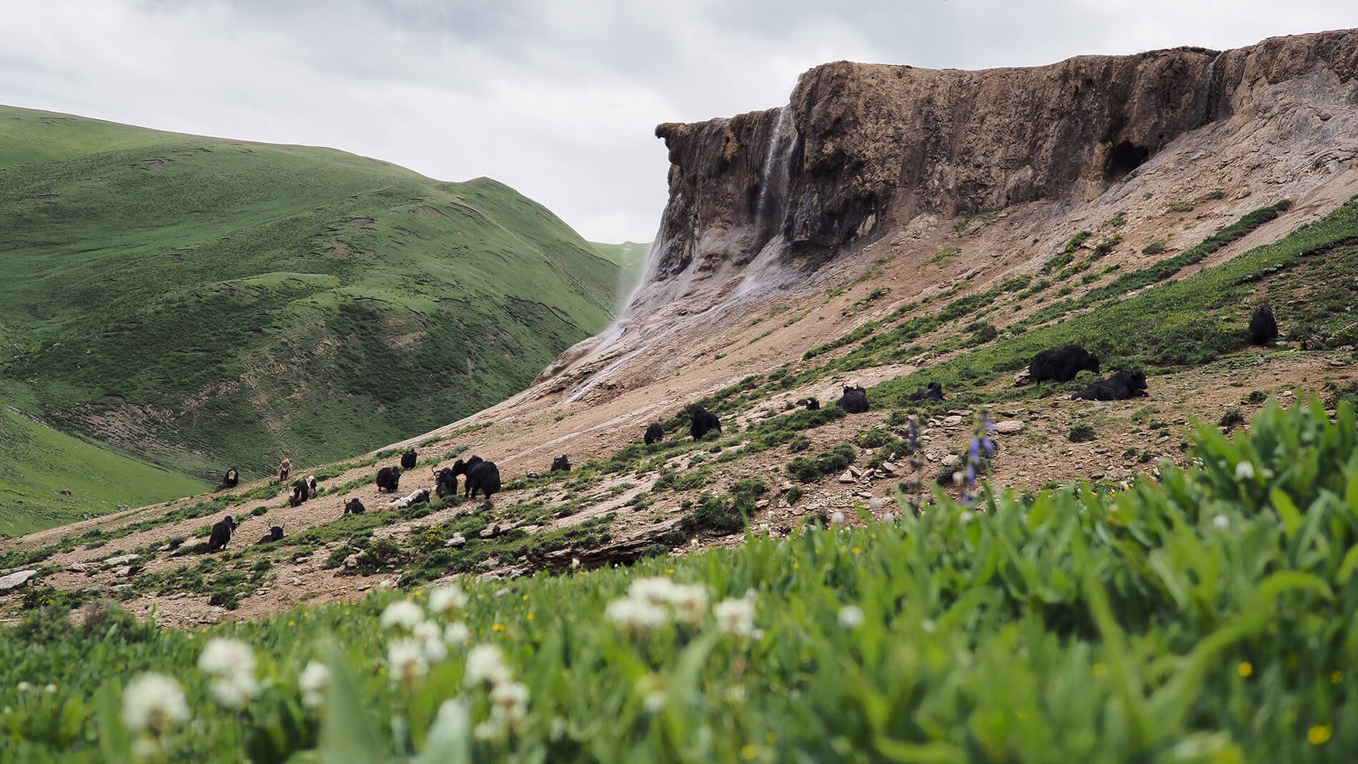 青藏旅拍｜文化私塾