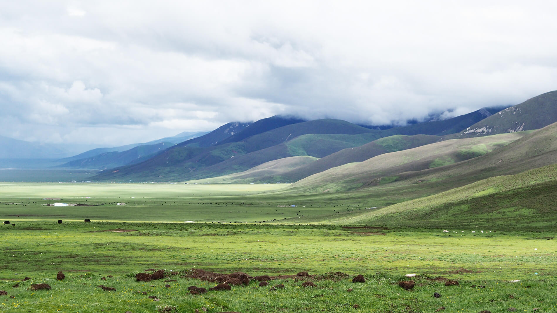 青藏旅拍｜文化私塾