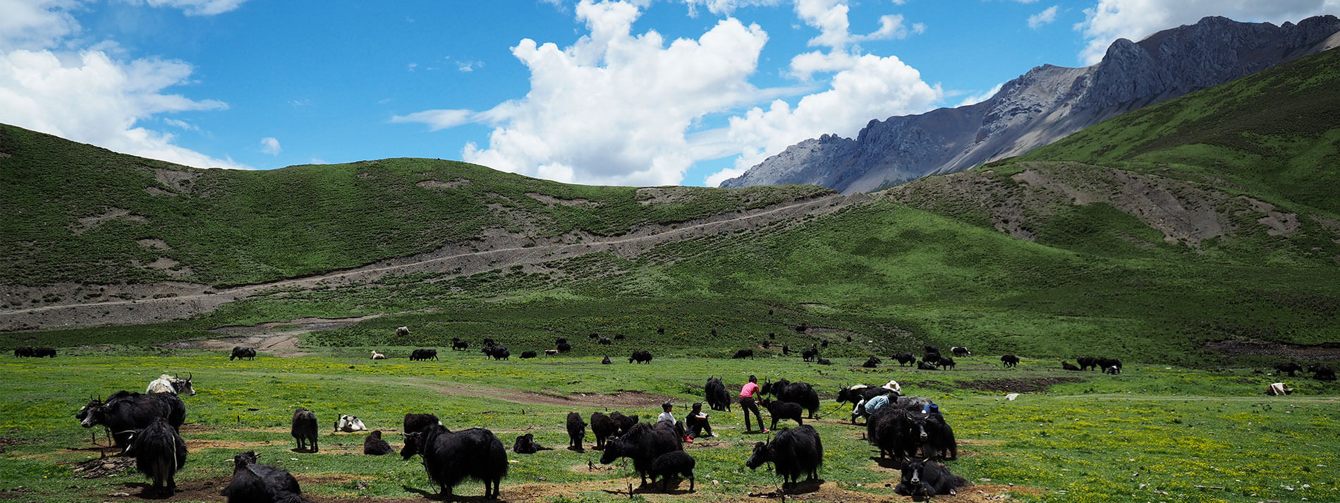 青藏旅拍｜文化私塾
