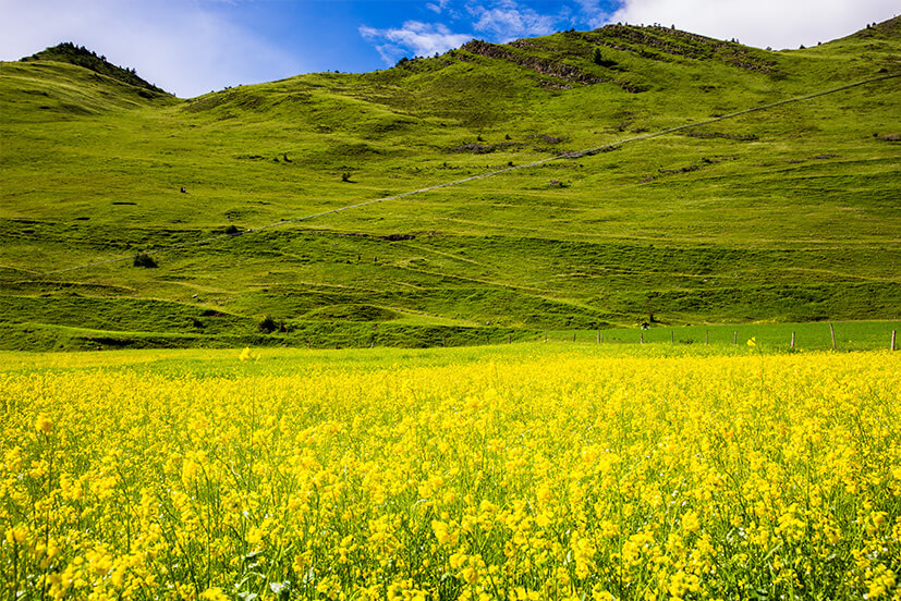 青藏旅拍｜文化私塾 三江源秘境