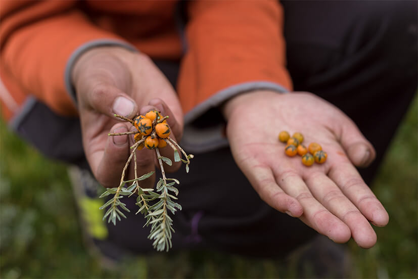 藏牧深情-在地11天 天葬
