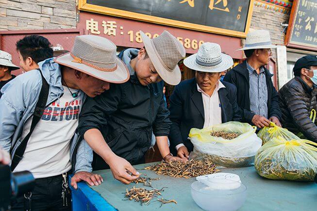 冬蟲夏草的交易市場