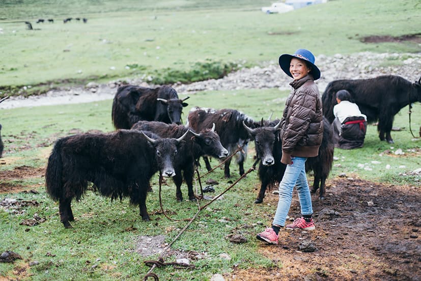 牧歌淺唱-在地6天 完整牧場生活