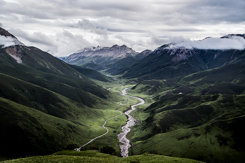 藏牧深情-在地11天 多松牧場