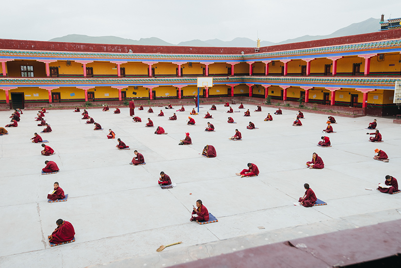 藏牧深情-在地11天 寺院與青年